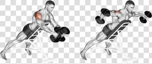 Incline Rear Lateral Raises  HD Png Download