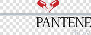 Transparent Pantene Logo Png   Heart  Png Download