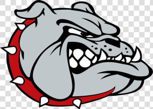 Transparent Bulldog Face Png   Bulldog Queen Creek High School  Png Download