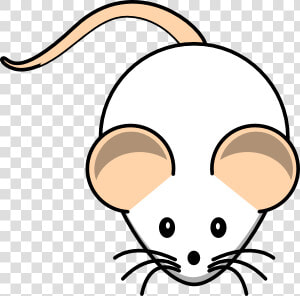 Pet Rat Clipart   Rat Clipart  HD Png Download