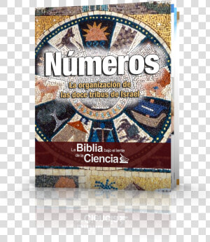 Números   Simbolos De Las 12 Tribus De Israel  HD Png Download