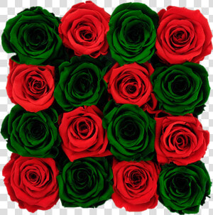 Dark Green Flowers Green Rose  HD Png Download