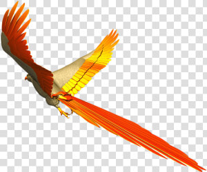 Free Photo Fly Colorful Parrot Isolated Flight   Colorful Birds Flying Png  Transparent Png