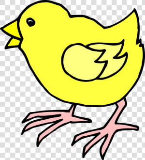 Cartoon Chick Clip Art   Cartoon Image Of A Chick  HD Png Download