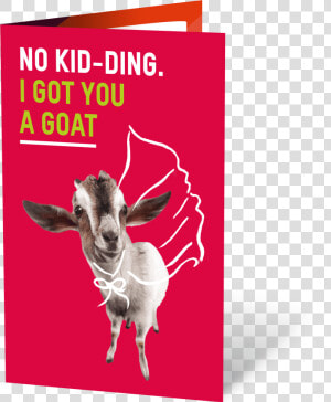 Goat No K   Goat  HD Png Download