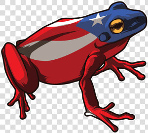 Coqui Puerto Rico Flag  HD Png Download