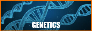 Dna For De Extinction  HD Png Download