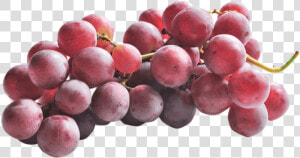 Uva Con Semi Red Globe   Seedless Fruit  HD Png Download