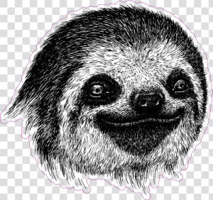 Sloth Face Png   Drawing Of A Sloth Face  Transparent Png