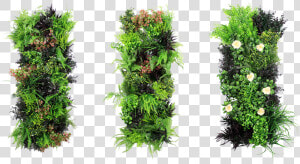 Artificial Vertical Garden   Vertical Green Wall Png  Transparent Png