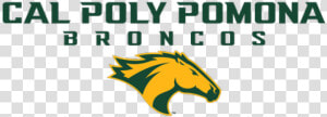 Cal Poly Pomona Broncos  HD Png Download