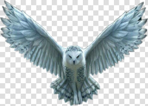 Transparent Hedwig Png   Transparent Harry Potter Owl Flying  Png Download