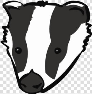 Badger Png   Cartoon Badger Drawing Transparent  Png Download