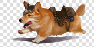 Sir Didymus The Dire Corgi   Pathfinder Corgi  HD Png Download