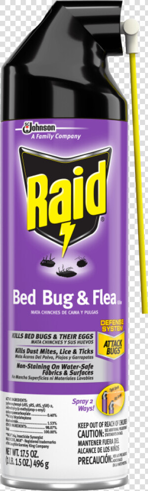 Bed Bug Raid  HD Png Download