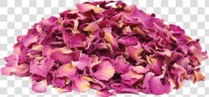 Transparent Red Petals Png   Dried Rose Petals Png  Png Download