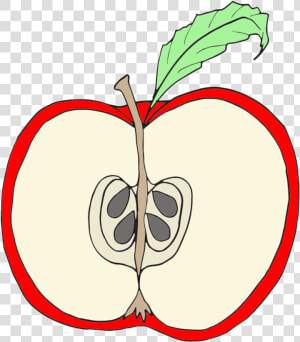 Clip Art Red Apple Clipart Wikiclipart   Parts Of An Apple Clipart  HD Png Download