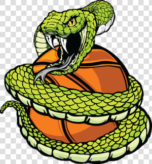 2018 Bluffs Hoops Shootout Youth Basketball Tournament   Snake Around A Basketball  HD Png Download