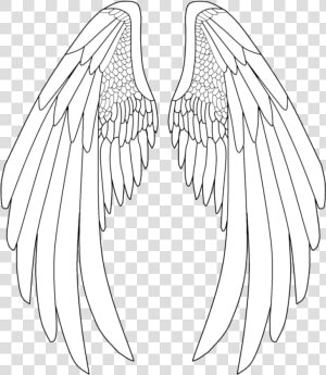 Elegant Drawing Angel Transparent   Anime Angel Wings Drawing  HD Png Download