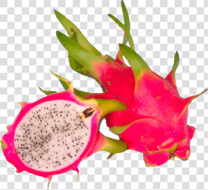 Dragon Fruit Clipart Free   Dragon Fruit Png  Transparent Png