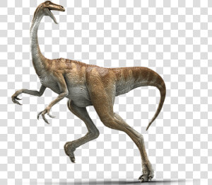 Gallimimus Jurassic World Evolution  HD Png Download