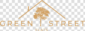 Green Street Flats Rentals   Tree  HD Png Download