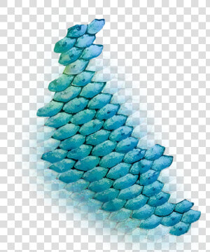 Mermaid Scales Png   Mermaid Fish Scale Png  Transparent Png