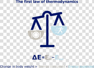 Obesity Thermodynamics   Graphic Design  HD Png Download