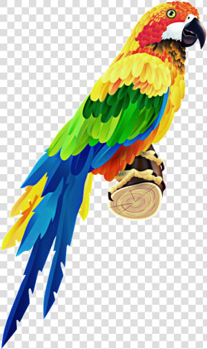  guacamaya   Colorful Parrot  HD Png Download