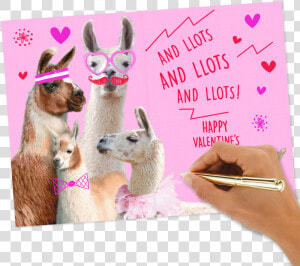 Love You Lots Llamas Valentine S Day   Llama  HD Png Download