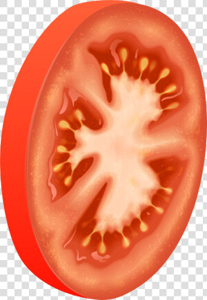 Tomato Png Clip Art   Tomato Circle  Transparent Png