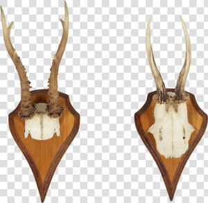 Vintage German Roe Deer Antlers A Pair   Trophy Hunting  HD Png Download