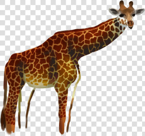 Giraffe By Procastinagoat Giraffe By Procastinagoat   Giraffe  HD Png Download