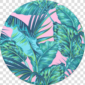 Transparent Rainbow Strip Png   Miami Strip Popsockets  Png Download