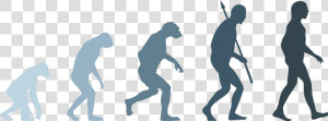 Human Evolution Png   Evolution Of Man Png  Transparent Png