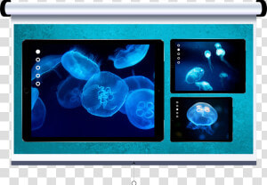 Mac Clipart Blue Computer   Led backlit Lcd Display  HD Png Download