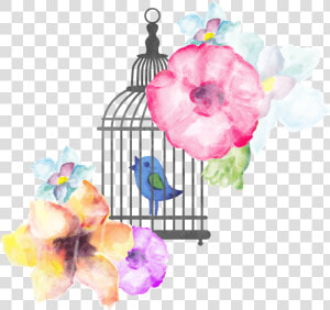 Banner Library Stock Birdcage Transprent Png Free Download   Water Color Painting Birds Hd  Transparent Png