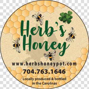 Honeybee  HD Png Download