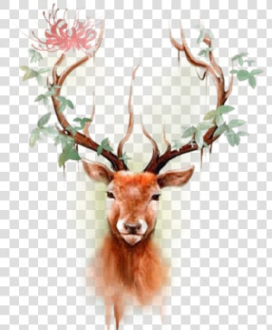 Deer Elk Moose Tattoo Paper   Moose Tattoo  HD Png Download