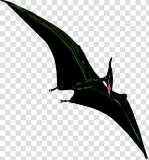 Pterodactyl  Dinosaur  Flying  Bird  Prehistoric   Prehistoric Bat Like Bird  HD Png Download