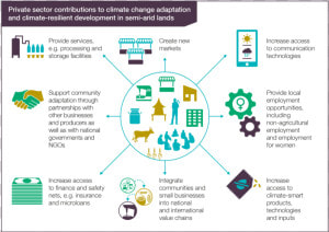 Private Sector Access To Climate Finance  HD Png Download