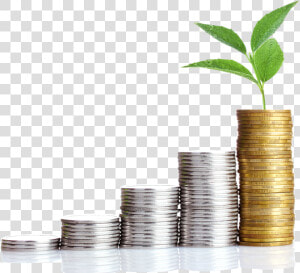 Money Growth Png   Transparent Money Growth Png  Png Download