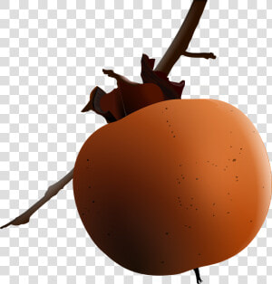 Persimmon  HD Png Download