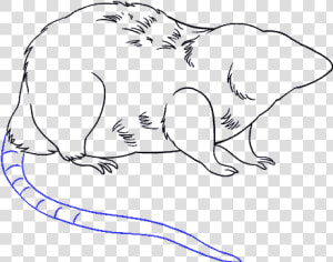 How To Draw Rat   Drawn Rat Drawing Png  Transparent Png