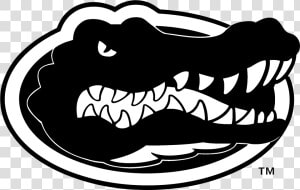 Florida Gators Logo Svg Vector  amp  Png Transparent   Florida Gator Logo Svg  Png Download