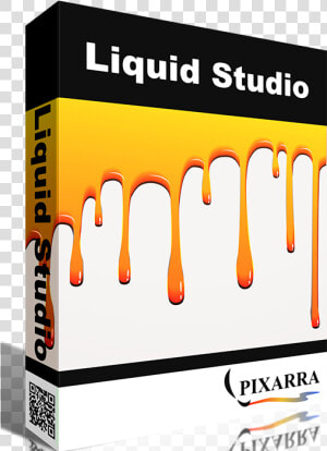 Liquid Studio   Kiddie Kandids  HD Png Download