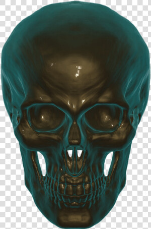 Skull Anatomy Skull And Crossbones Free Photo   3d Human Skull Png  Transparent Png