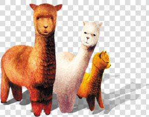 Clip Art La Llamas  HD Png Download