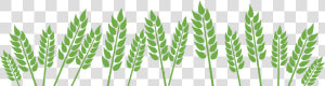 Wheat Field »   Fields Clipart Black And White  HD Png Download