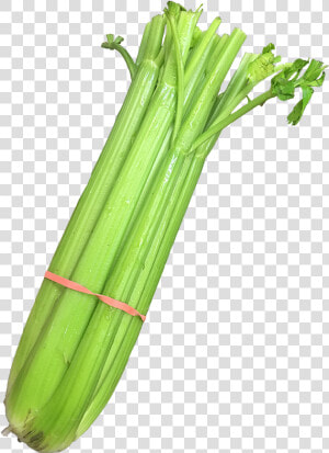 Celery   Leek   Leek  HD Png Download